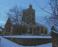 Christmas Tree Festival