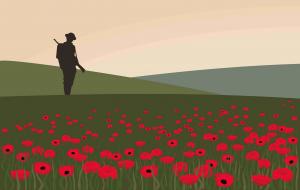 Remembrance Day poppy sales