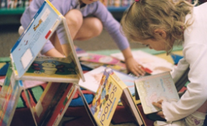 The Summer Reading Challenge