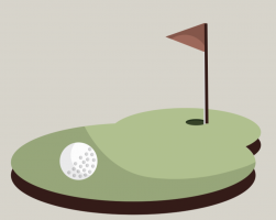 Professional and International Golfer