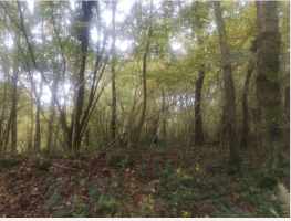 Arnside & Silverdale Landscape Trust