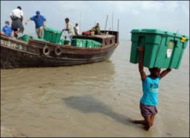 Arrival of Shelter Boxes