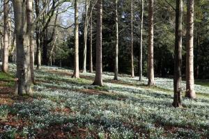 Cheltenham North News 