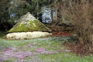 Snowdrops at Colesbourne 2026 Teas