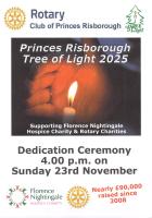 Tree of Light 2025
