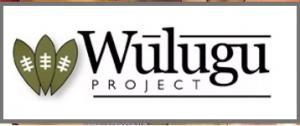 Wulugu Project