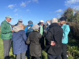 Social walk and lunch