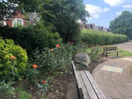 Whitchurch Festival - maintaining the Hub Garden (Whitchurch Library)