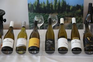 Cheltenham Wine Festival