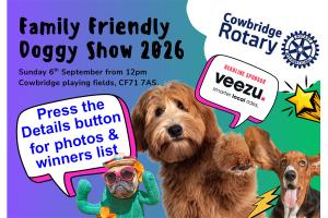Dog Show