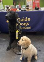 Guide Dogs 14th January