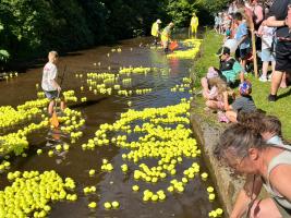 Duck Race 