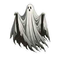 WEDNESDASY 7th OCTOBER - SPEAKER FAY FOSTER, SUBJECT GHOSTS