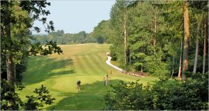 New Forest Rotary Charity Golf 2 Sept &lsquo;26