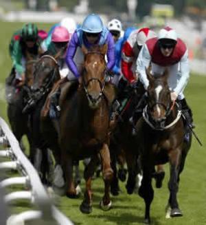 A night of wine and horse racing