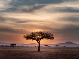Mark Boshoff, St Blanes - "Living in South Africa"
