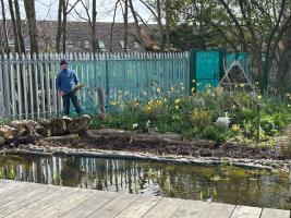 Cleaning the pond