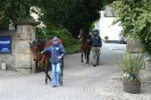 Mark Johnston's Stables