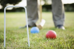Croquet Success