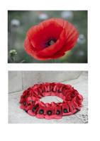 Supporting the Royal British Legion Poppy Collection at Tesco in Southend