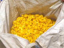 DUCK RACE RESULTS ....
