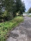 Llanelli Railway Goods Shed biodiversity project