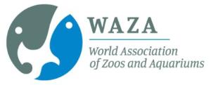 Weekly Hybrid ZOOM Meeting - 15th October
