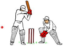 2013 Lostwithiel Carnival Cricket Competition
