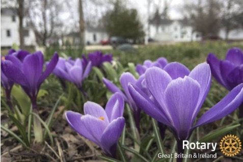 February 2026 News Image