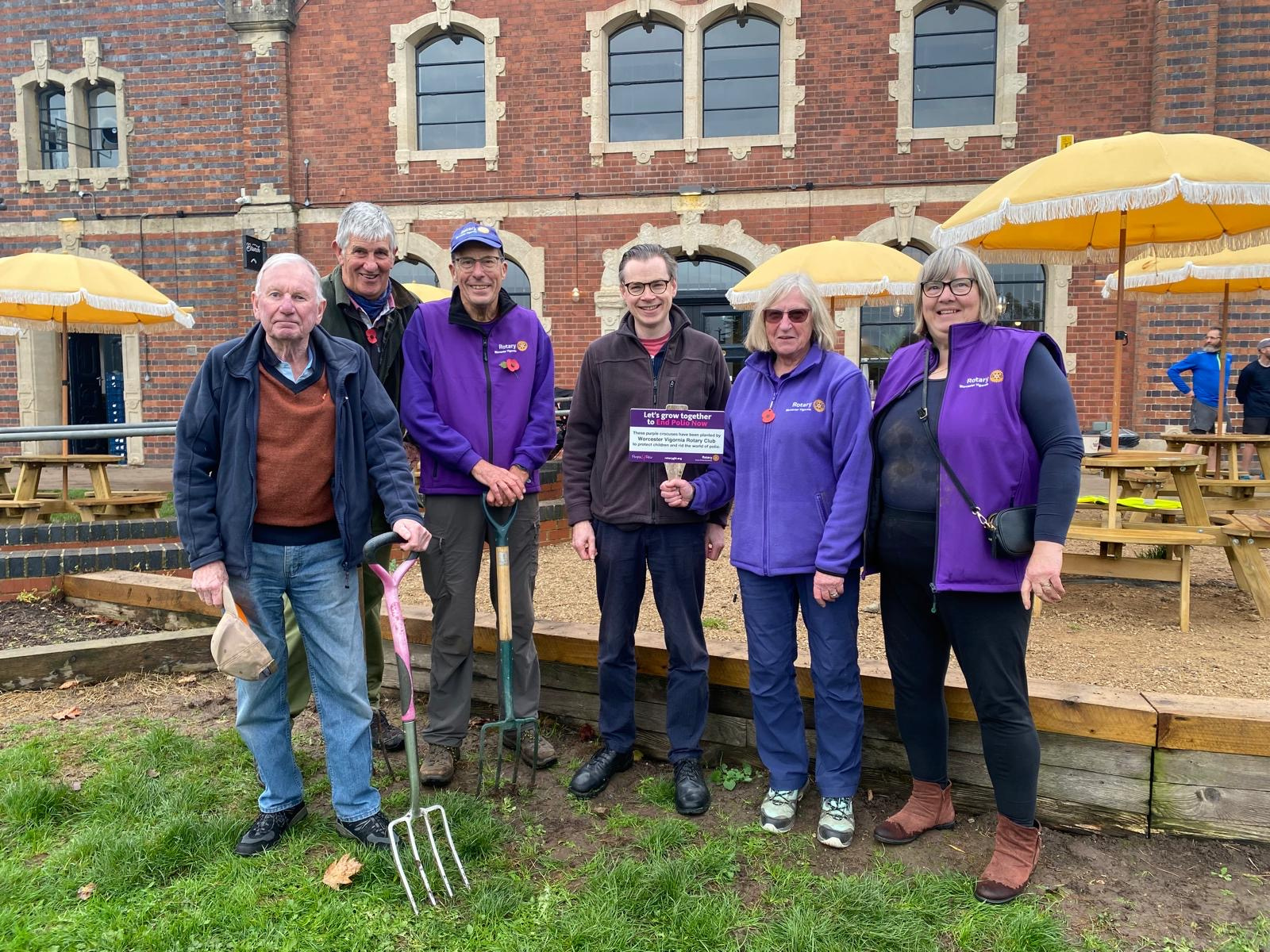 A group of members from Worcester Vigornia Rotary planting Crocus Bulbs 