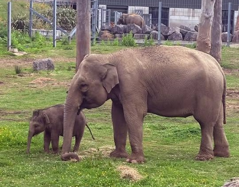 Blackpool Zoo outing