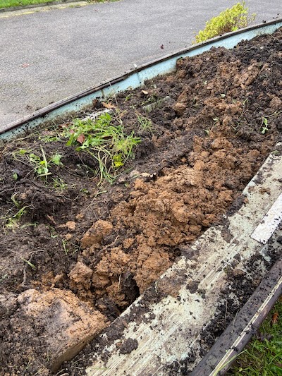 Close up of planted up boat